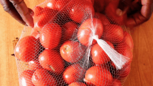 ripe tomatoes to make tomato paste