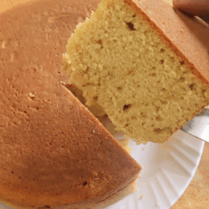 easy no-oven sourdough cake